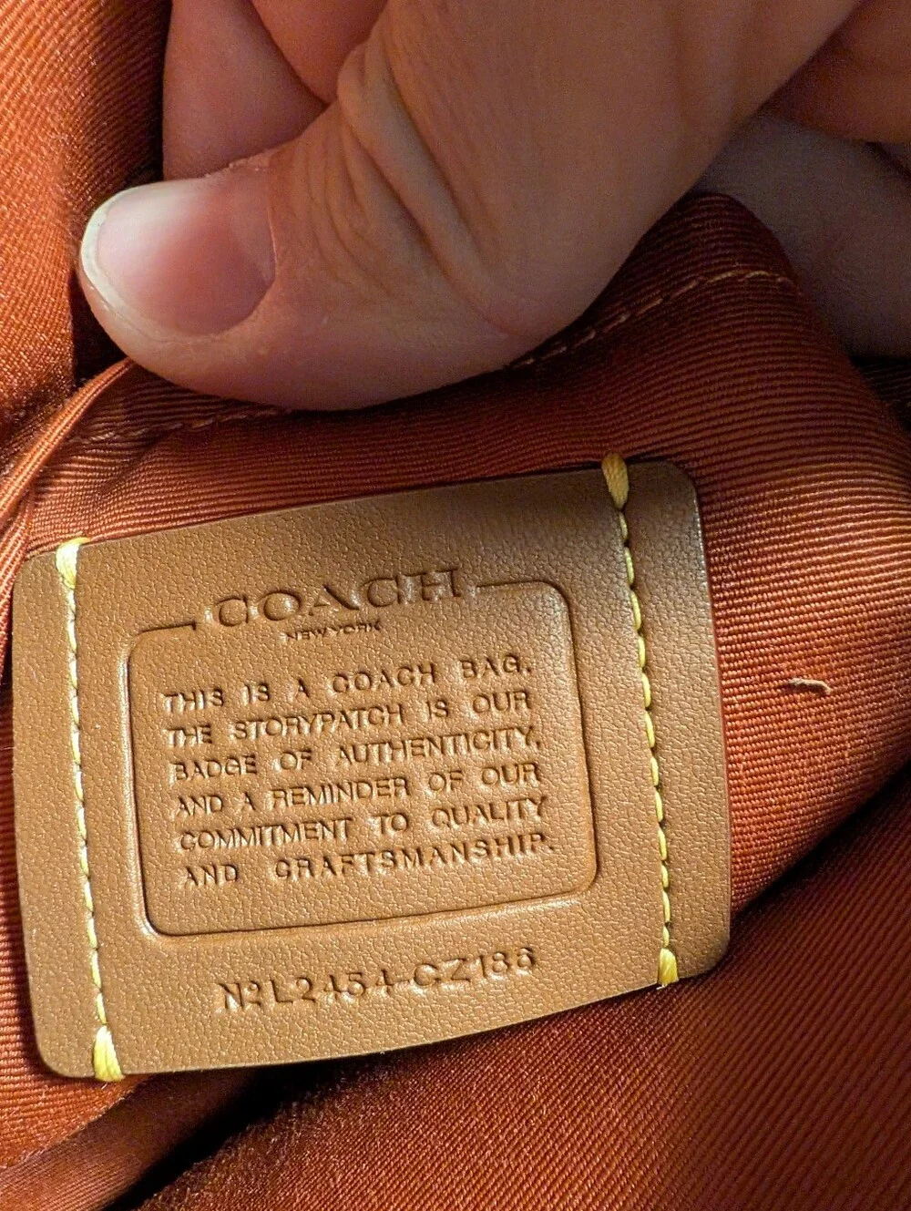 Coach Sig Jamie Camera Bag Sand Deep Orange Crossbody Handbag NWT